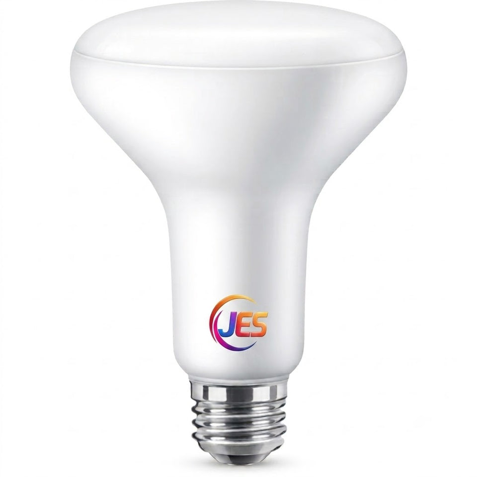Jeddah Electric Shop Bulb 65W BR30 E27